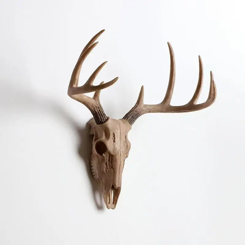 Bois De Cerf Décoration Murale | 39 x 37 cm