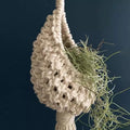 Macramé Mural Plante