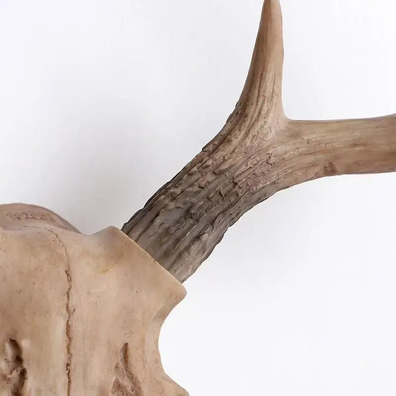 Bois De Cerf Décoration Murale | 39 x 37 cm
