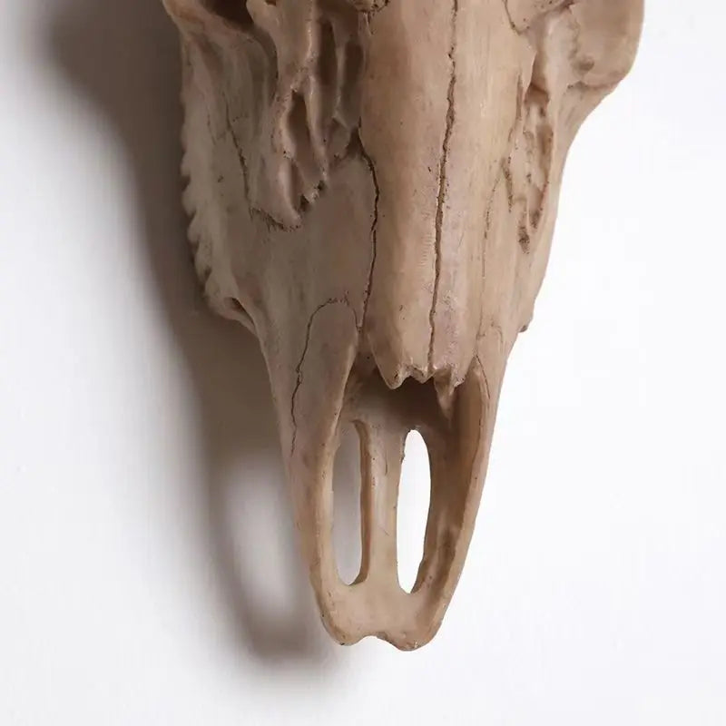 Bois De Cerf Décoration Murale | 39 x 37 cm