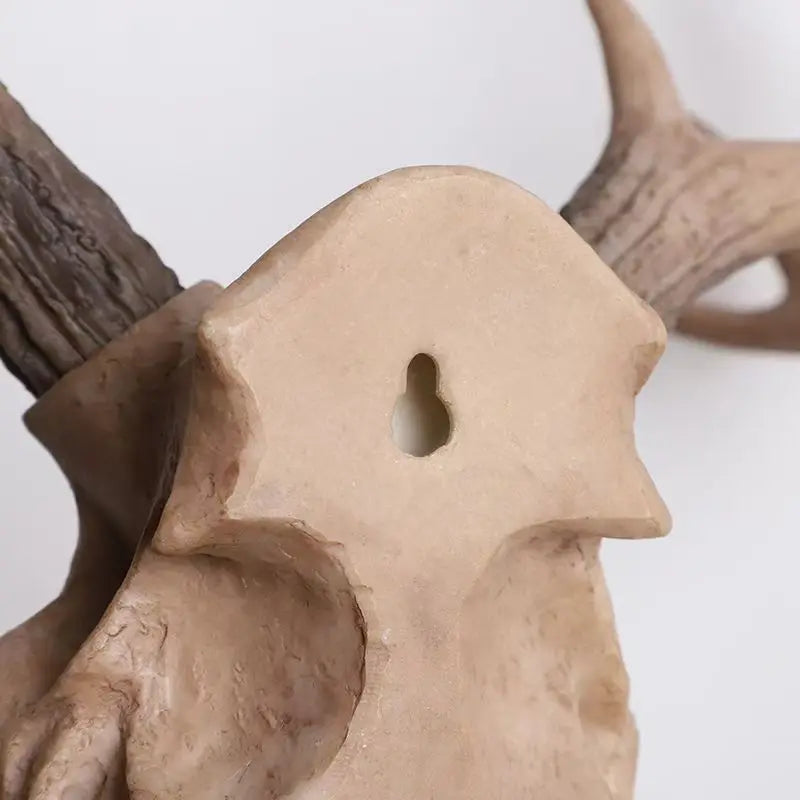 Bois De Cerf Décoration Murale | 39 x 37 cm